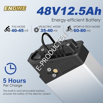Engwe EP-2 pro 750W 20''' 13 AH - Elektrische fiets - FATBIKE GRIJSBLAUW