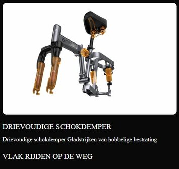 Engwe T14 Pro - 250W 14 inch - 10 AH - Elektrische fiets 4 kleuren- Uitneembare batterij