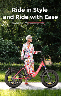 Engwe L20 - 20 INCH - Elektrische fatbike- Lage instap- 4 kleuren -- Achter en voorrek - Multifunctioneel 
