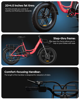 Engwe L20 - 20 INCH - Elektrische fatbike- Lage instap- 4 kleuren -- Achter en voorrek - Multifunctioneel 