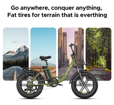 Engwe L20 - 20 INCH - Elektrische fatbike- Lage instap- 4 kleuren -- Achter en voorrek - Multifunctioneel 