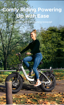 Engwe L20 - 20 INCH - Elektrische fatbike- Lage instap- 4 kleuren -- Achter en voorrek - Multifunctioneel 