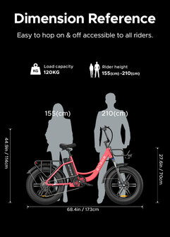 Engwe L20 - 20 INCH - Elektrische fatbike- Lage instap- 4 kleuren -- Achter en voorrek - Multifunctioneel 