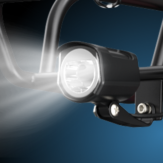 Engwe L20 - 20 INCH - Elektrische fatbike- Lage instap- 4 kleuren -- Achter en voorrek - Multifunctioneel 