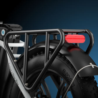 Engwe L20 - 20 INCH - Elektrische fatbike- Lage instap- 4 kleuren -- Achter en voorrek - Multifunctioneel 