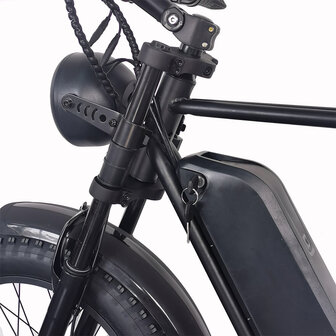 C91 20 INCH Fatbike 20AH Elektrische fat bike zwarte zadel VOORRAAD!! ACTIE 250W