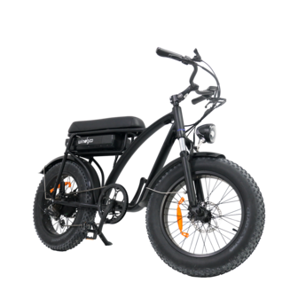 Windgoo F5 - 20 Inch - Fatbike - E Bike - Elektrische fatbike  - 250W - 15Ah - APP - Zwart