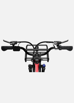 Engwe L20 - 20 INCH - Elektrische fatbike- Lage instap- 4 kleuren -- Achter en voorrek - Multifunctioneel 