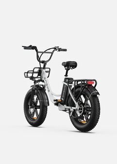 Engwe L20 - 20 INCH - Elektrische fatbike- Lage instap- 4 kleuren -- Achter en voorrek - Multifunctioneel 