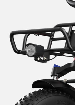 Engwe L20 - 20 INCH - Elektrische fatbike- Lage instap- 4 kleuren -- Achter en voorrek - Multifunctioneel 