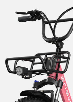 Engwe L20 - 20 INCH - Elektrische fatbike- Lage instap- 4 kleuren -- Achter en voorrek - Multifunctioneel 