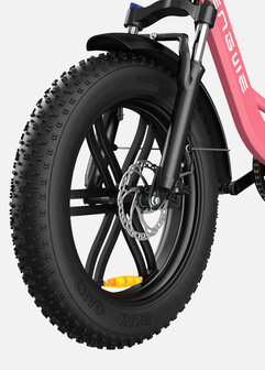 Engwe L20 - 20 INCH - Elektrische fatbike- Lage instap- 4 kleuren -- Achter en voorrek - Multifunctioneel 