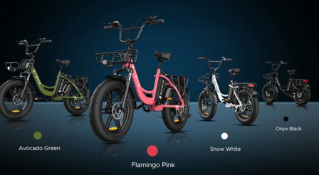Engwe L20 - 20 INCH - Elektrische fatbike- Lage instap- 4 kleuren -- Achter en voorrek - Multifunctioneel 