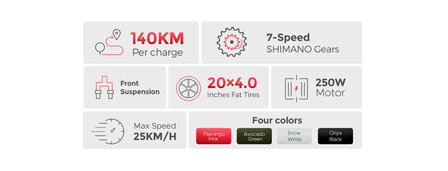 Engwe L20 - 20 INCH - Elektrische fatbike- Lage instap- 4 kleuren -- Achter en voorrek - Multifunctioneel 