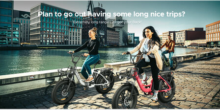 Engwe L20 - 20 INCH - Elektrische fatbike- Lage instap- 4 kleuren -- Achter en voorrek - Multifunctioneel 