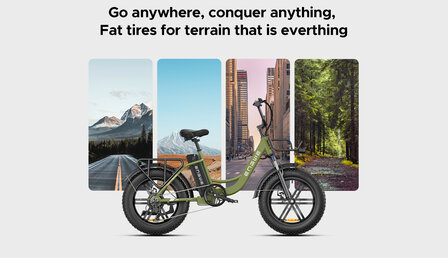 Engwe L20 - 20 INCH - Elektrische fatbike- Lage instap- 4 kleuren -- Achter en voorrek - Multifunctioneel 