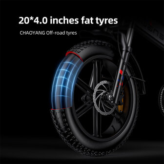 Engwe Engine X - Elektrische fatbike--  Opvouwbaar- Achterrek - 2 kleuren