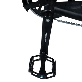 C80 Max Fatbike - Dubbele Accu - Zwart + alarm + voetsteunen + kettingkast + tas + telefoonhouder