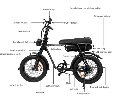 EB2 fatbike detail