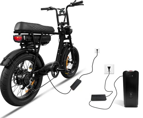 EB2 fatbike oplader