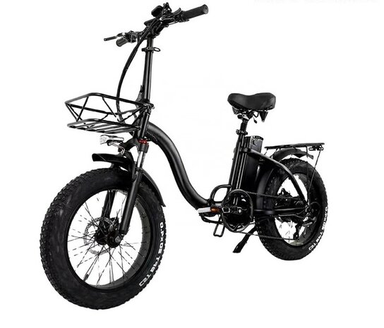 S600 Pro 750W 20''' 15 AH - Elektrische fiets - Zwart