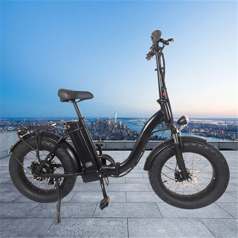 S600 Pro 750W 20''' 15 AH - Elektrische fiets - Zwart