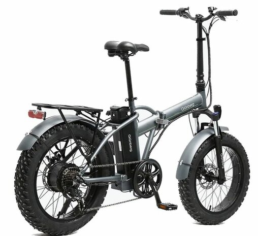 Grünberg E transformer fatty Elektrische Fatbike 250W 20'' 