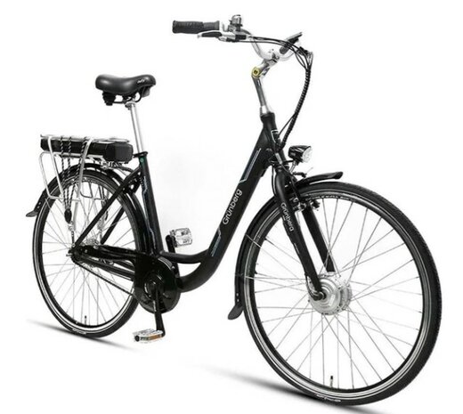 Grünberg Biene Elektrische Stadsfiets 250W 28'' Nexus