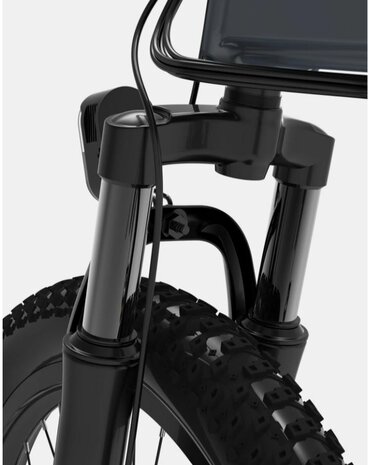 Engwe C20 Pro 250W 20'' 15.6 AH - Elektrische fiets - Zwart