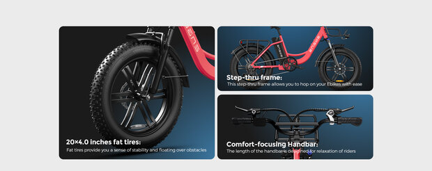 Engwe L20 - 20 INCH - Elektrische fatbike- Lage instap- 4 kleuren -- Achter en voorrek - Multifunctioneel 
