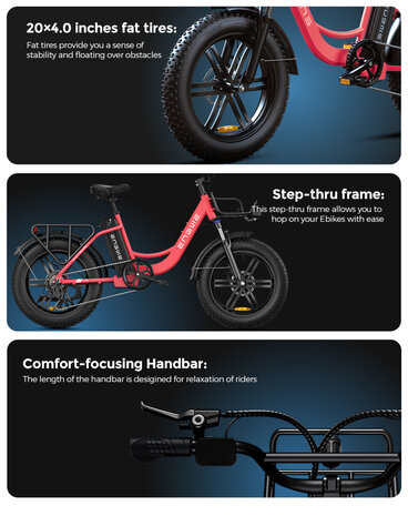 Engwe L20 - 20 INCH - Elektrische fatbike- Lage instap- 4 kleuren -- Achter en voorrek - Multifunctioneel 