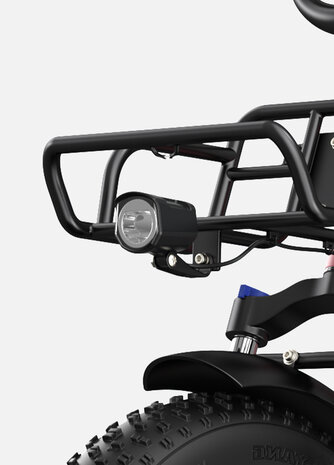 Engwe L20 - 20 INCH - Elektrische fatbike- Lage instap- 4 kleuren -- Achter en voorrek - Multifunctioneel 