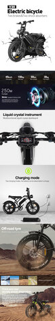 V20 15 AH Elektrische fat bike zwarte zadel 2024 MODEL!!!! 250W 
