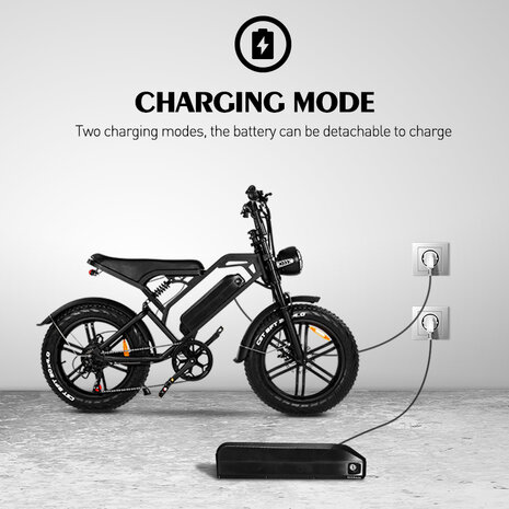 V20 15 AH Elektrische fat bike bruine zadel 2023 MODEL!!!! 250W 