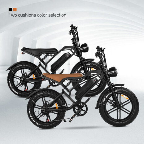 V20 15 AH Elektrische fat bike bruine zadel 2023 MODEL!!!! 250W 