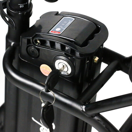 Windgoo E20 Pro - Fatbike - E Bike - Elektrische Vouwfiets - 20 Inch - 250W - 15Ah - APP - Zwart