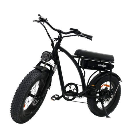 Windgoo F5 - 20 Inch - Fatbike - E Bike - Elektrische fatbike  - 250W - 15Ah - APP - Zwart