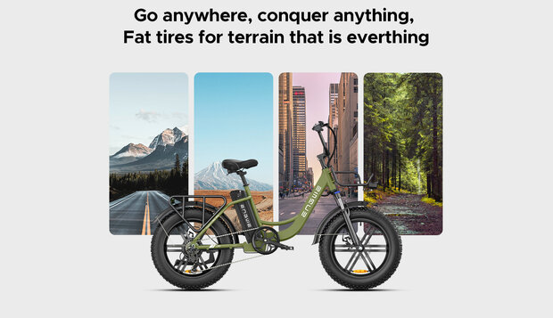 Engwe L20 - 20 INCH - Elektrische fatbike- Lage instap- 4 kleuren -- Achter en voorrek - Multifunctioneel 
