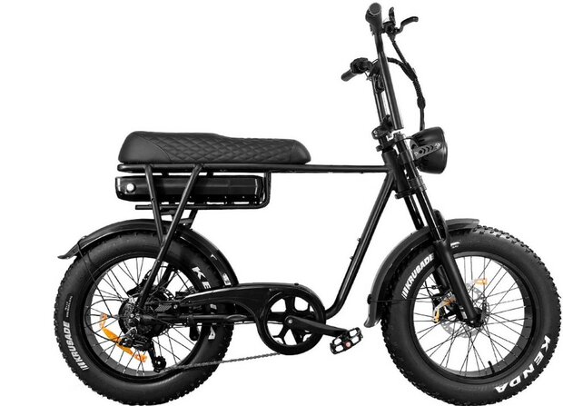 EB2 - Fatbike - Zwart- Gratis extra's 