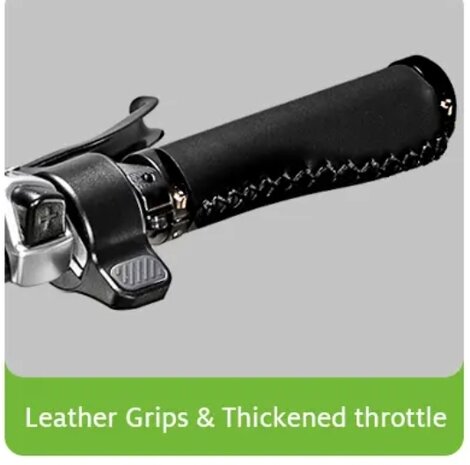 EB2 fatbike grips
