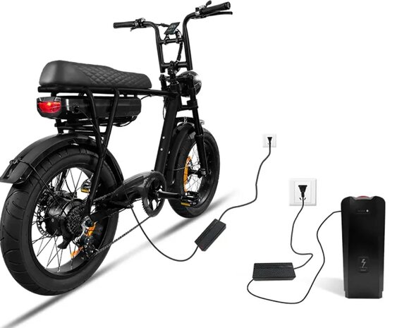 EB2 fatbike oplader